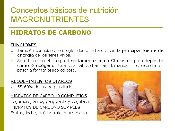 Conceptos básicos de nutrición MACRONUTRIENTES HIDRATOS DE CARBONO FUNCIONES p También conocidos como glúcidos