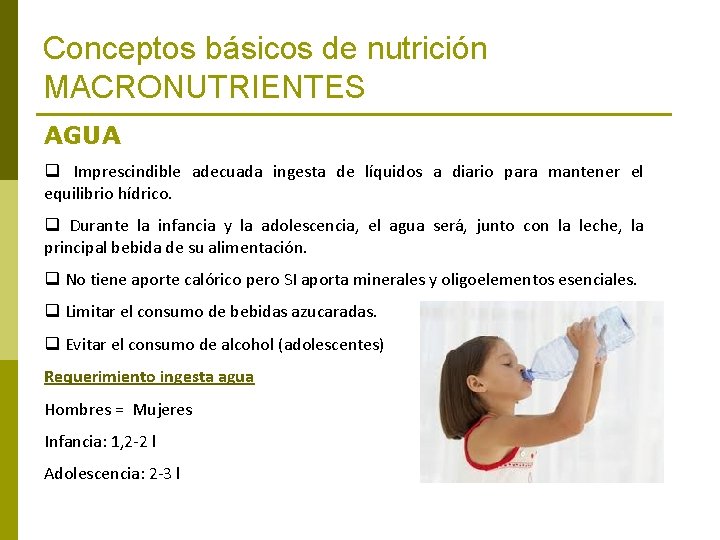 Conceptos básicos de nutrición MACRONUTRIENTES AGUA q Imprescindible adecuada ingesta de líquidos a diario