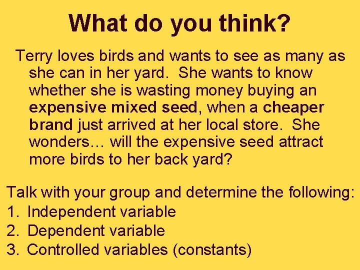 What do you think? Terry loves birds and wants to see as many as