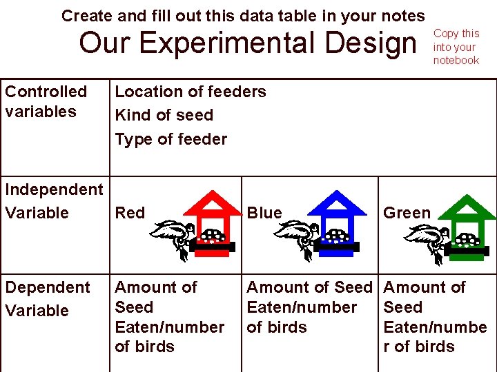 Create and fill out this data table in your notes Our Experimental Design Controlled