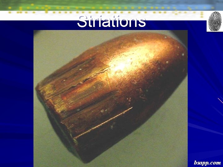 Striations bsapp. com 