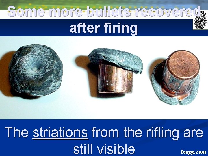 Some more bullets recovered after firing The striations from the rifling are bsapp. com