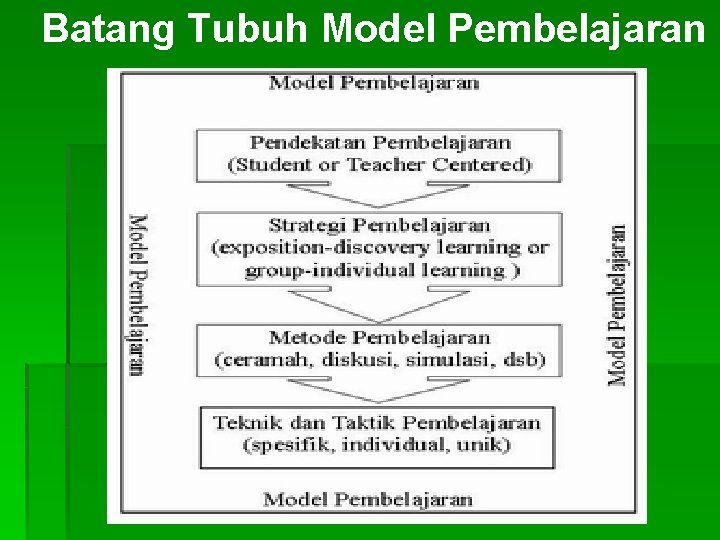 Batang Tubuh Model Pembelajaran 