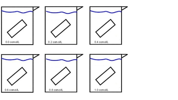 0. 0 osmol/L 0. 6 osmol/L 0. 2 osmol/L 0. 8 osmol/L 0. 4
