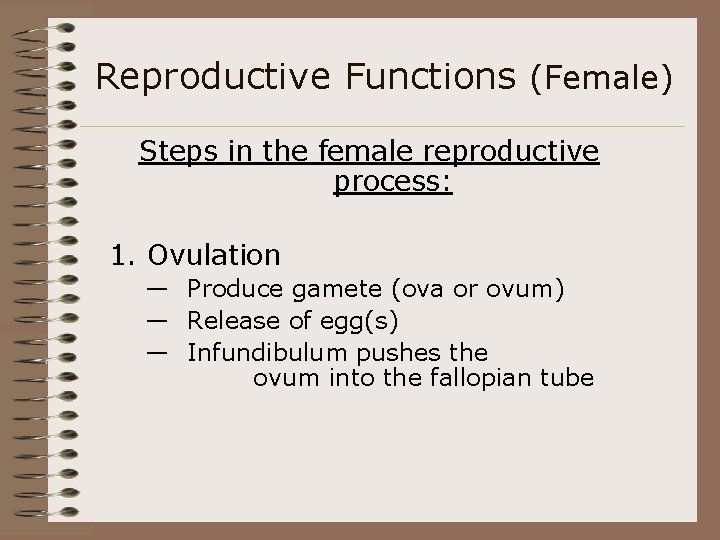 Reproductive Functions (Female) Steps in the female reproductive process: 1. Ovulation — Produce gamete