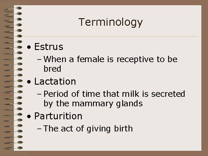 Terminology • Estrus – When a female is receptive to be bred • Lactation