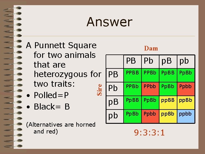 Answer Sire A Punnett Square Dam for two animals PB Pb p. B pb