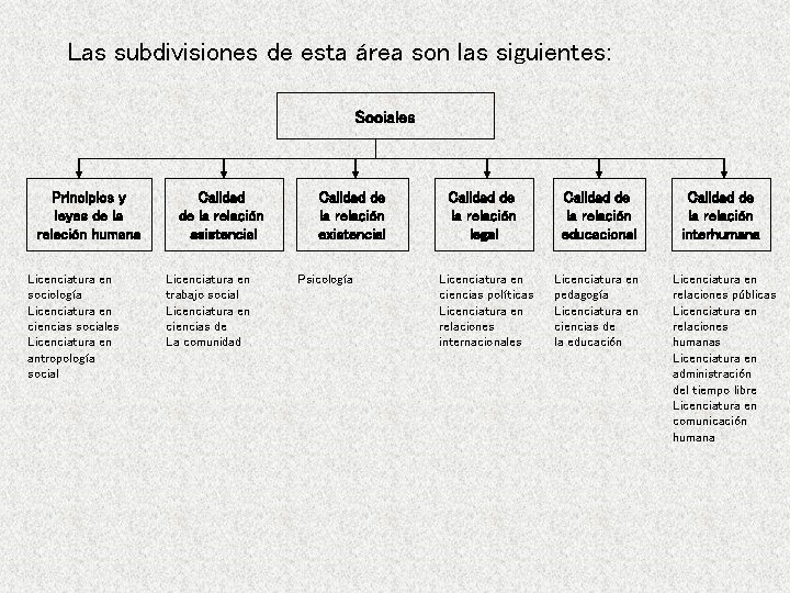 Las subdivisiones de esta área son las siguientes: Sociales Principios y leyes de la