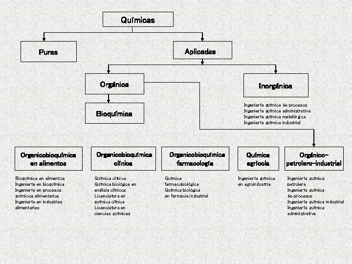 Químicas Aplicadas Puras Orgánica Inorgánica Ingeniería Bioquímica Organicobioquímica en alimentos Bioquímica en alimentos Ingeniería