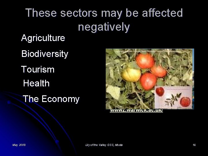 These sectors may be affected negatively Agriculture Biodiversity Tourism Health The Economy www 2.