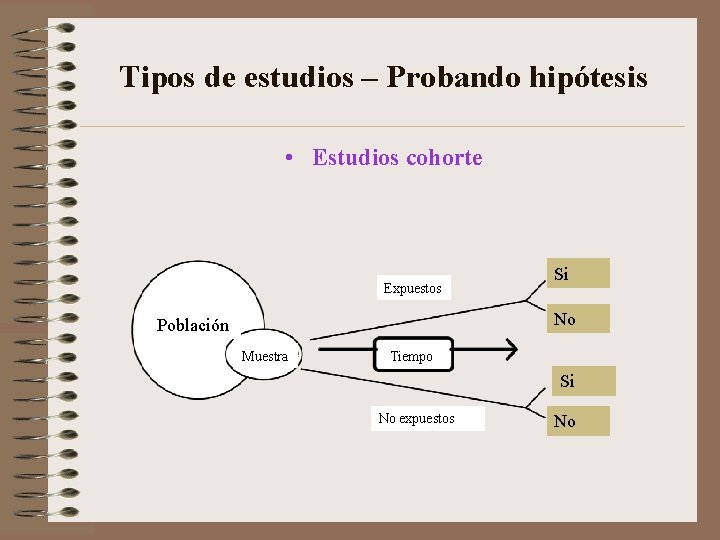 Tipos de estudios – Probando hipótesis • Estudios cohorte Expuestos Si No Población Muestra