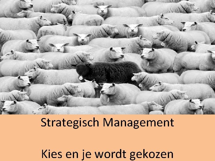 Strategisch Management Kies en je wordt gekozen 