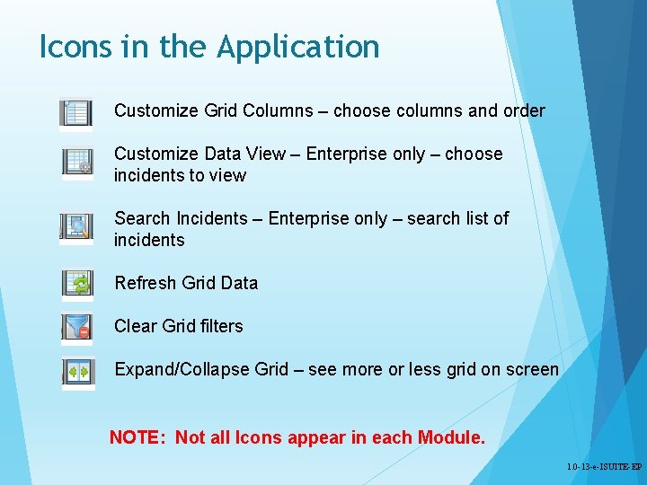 Icons in the Application Customize Grid Columns – choose columns and order Customize Data