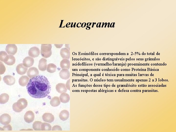 Leucograma Os Eosinófilos correrspondem a 2 -5% do total de leucócitos, e são distinguíveis