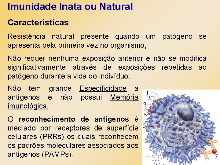 Imunidade Inata ou Natural Características Resistência natural presente quando um patógeno se apresenta pela