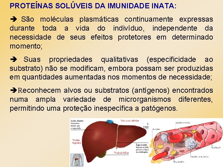 PROTEÍNAS SOLÚVEIS DA IMUNIDADE INATA: è São moléculas plasmáticas continuamente expressas durante toda a