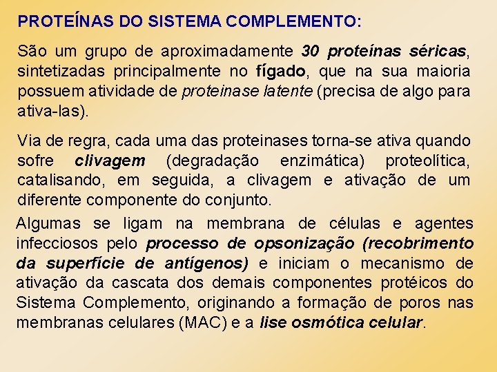 PROTEÍNAS DO SISTEMA COMPLEMENTO: São um grupo de aproximadamente 30 proteínas séricas, sintetizadas principalmente