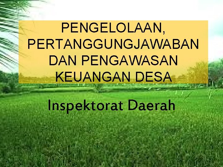 Pengelolaan Pertanggungjawaban Dan Pengawasan Keuangan Desa Inspektorat Daerah