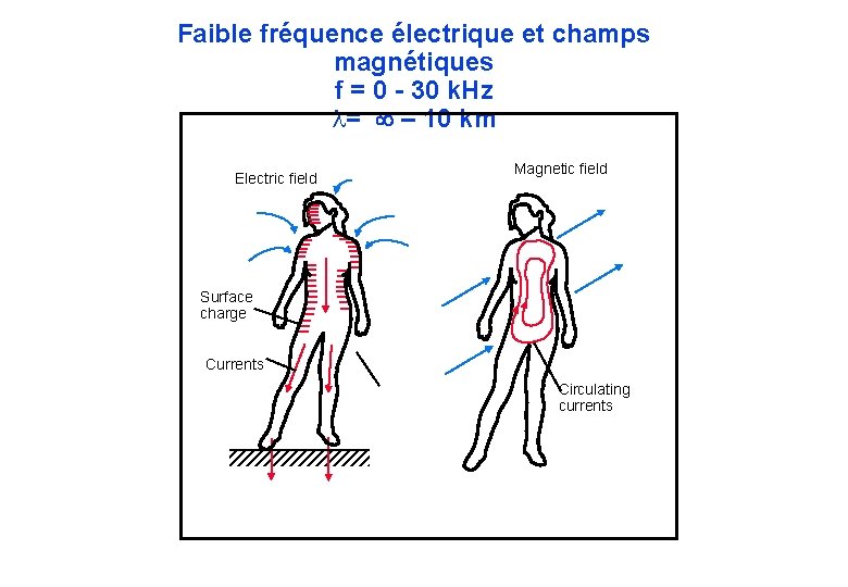 Faible fréquence électrique et champs magnétiques f = 0 - 30 k. Hz l=