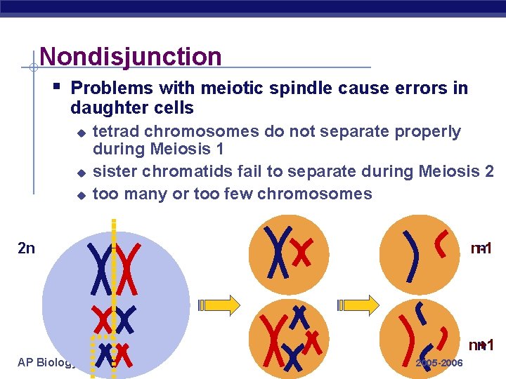 Nondisjunction § Problems with meiotic spindle cause errors in daughter cells u u u