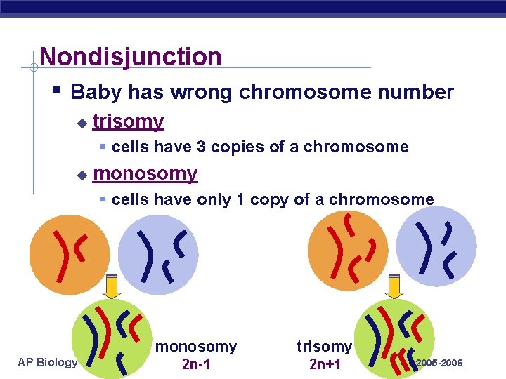 Nondisjunction § Baby has wrong chromosome number u trisomy § cells have 3 copies