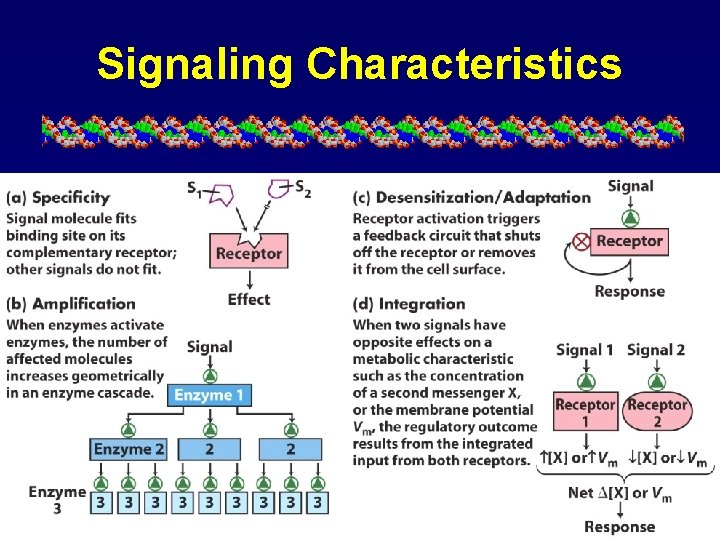 Signaling Characteristics 