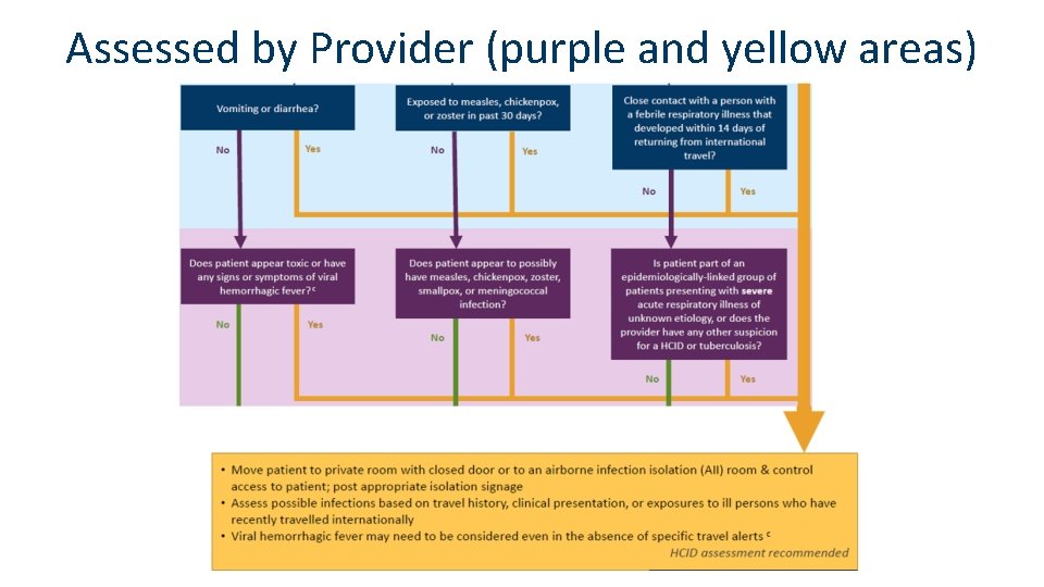 Assessed by Provider (purple and yellow areas) 