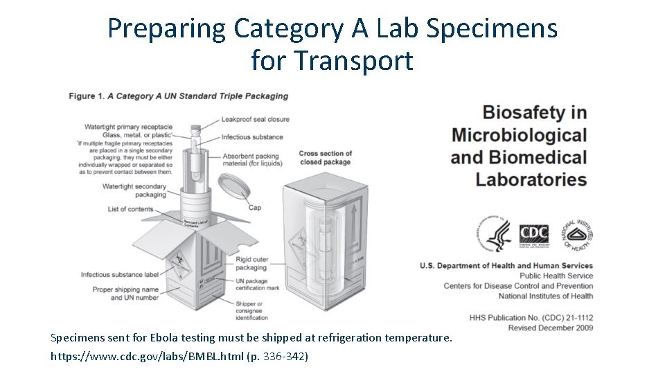 Preparing Category A Lab Specimens for Transport Specimens sent for Ebola testing must be