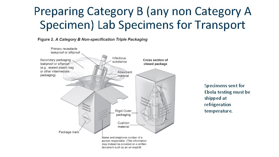 Preparing Category B (any non Category A Specimen) Lab Specimens for Transport Specimens sent
