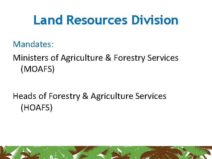 Land Resources Division Mandates: Ministers of Agriculture & Forestry Services (MOAFS) Heads of Forestry