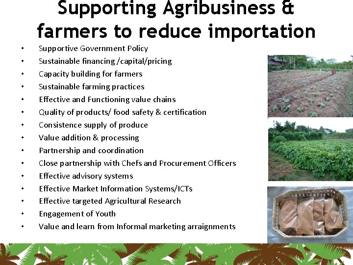 Supporting Agribusiness & farmers to reduce importation • • • • Supportive Government Policy