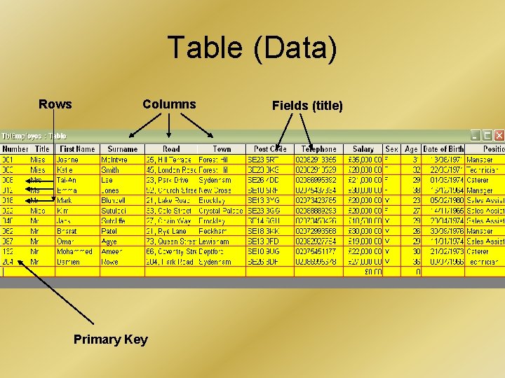 Table (Data) Rows Columns Primary Key Fields (title) Table (Data) Rows Columns Primary Key Fields (title)
