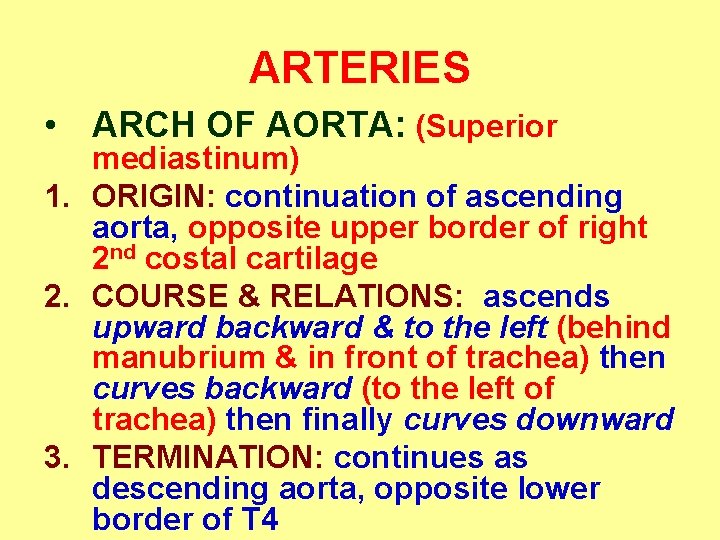 ARTERIES • ARCH OF AORTA: (Superior mediastinum) 1. ORIGIN: continuation of ascending aorta, opposite