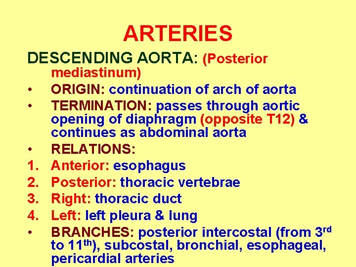 ARTERIES DESCENDING AORTA: (Posterior • • • 1. 2. 3. 4. • mediastinum) ORIGIN: