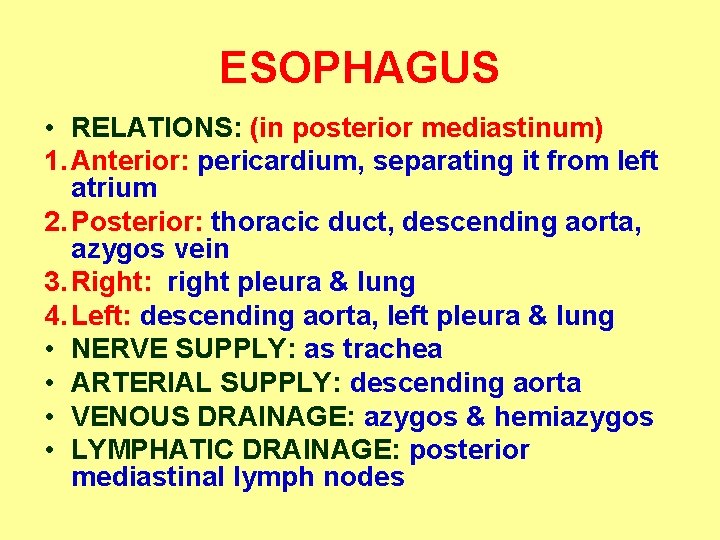 ESOPHAGUS • RELATIONS: (in posterior mediastinum) 1. Anterior: pericardium, separating it from left atrium