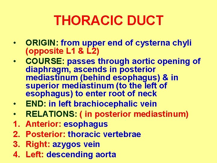 THORACIC DUCT • • 1. 2. 3. 4. ORIGIN: from upper end of cysterna