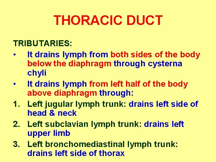 THORACIC DUCT TRIBUTARIES: • It drains lymph from both sides of the body below