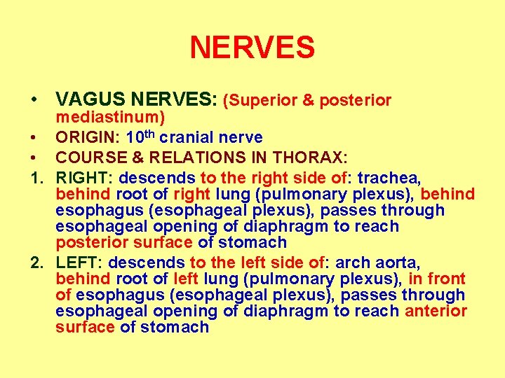 NERVES • VAGUS NERVES: (Superior & posterior mediastinum) • ORIGIN: 10 th cranial nerve