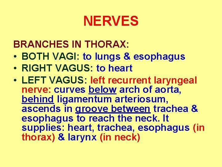 NERVES BRANCHES IN THORAX: • BOTH VAGI: to lungs & esophagus • RIGHT VAGUS: