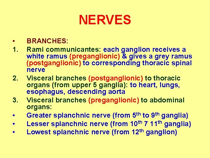 NERVES • 1. 2. 3. • • • BRANCHES: Rami communicantes: each ganglion receives