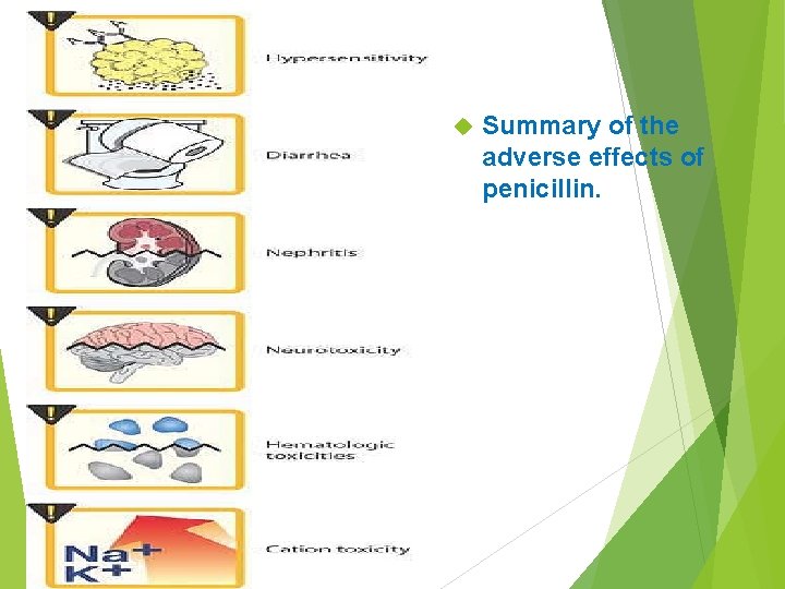  Summary of the adverse effects of penicillin. 