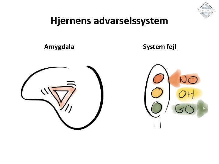 Hjernens advarselssystem Amygdala System fejl 