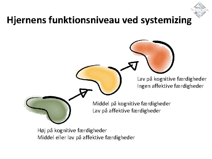 Hjernens funktionsniveau ved systemizing Lav på kognitive færdigheder Ingen affektive færdigheder Middel på kognitive