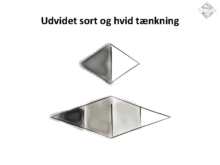 Udvidet sort og hvid tænkning 