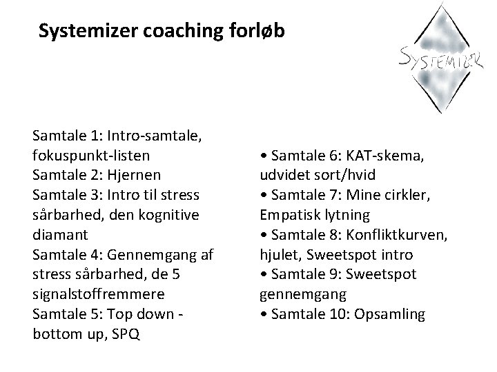 Systemizer coaching forløb Samtale 1: Intro-samtale, fokuspunkt-listen Samtale 2: Hjernen Samtale 3: Intro til