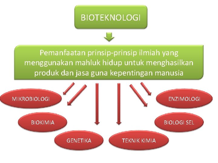 BIOTEKNOLOGI Pemanfaatan prinsip-prinsip ilmiah yang menggunakan mahluk hidup untuk menghasilkan produk dan jasa guna