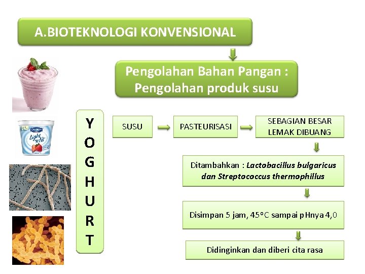 A. BIOTEKNOLOGI KONVENSIONAL Pengolahan Bahan Pangan : Pengolahan produk susu Y O G H