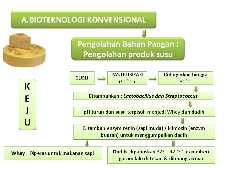 A. BIOTEKNOLOGI KONVENSIONAL Pengolahan Bahan Pangan : Pengolahan produk susu K E J U