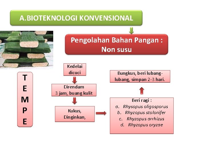 A. BIOTEKNOLOGI KONVENSIONAL Pengolahan Bahan Pangan : Non susu T E M P E