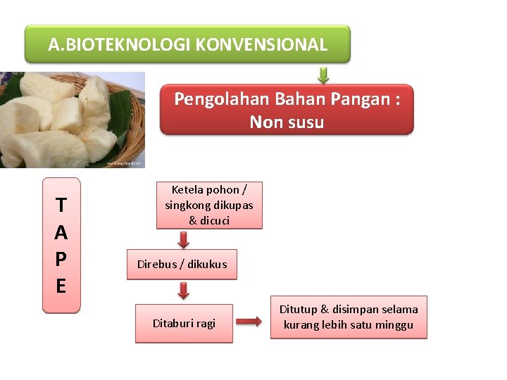 A. BIOTEKNOLOGI KONVENSIONAL Pengolahan Bahan Pangan : Non susu T A P E Ketela